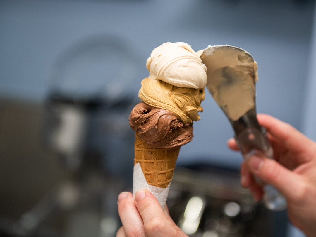 Gelateria Monello