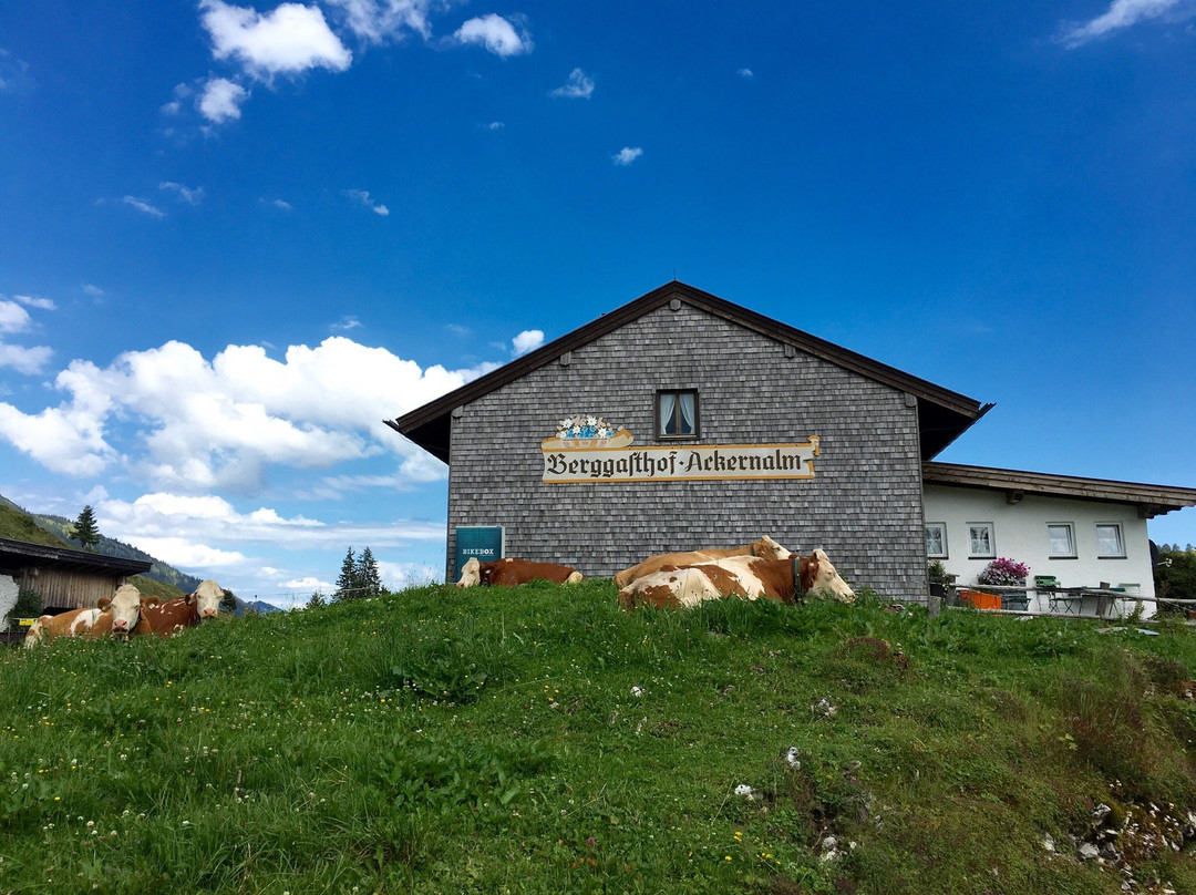Berggasthof Ackernalm
