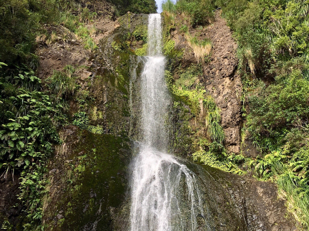 Kitekite Falls景点图片