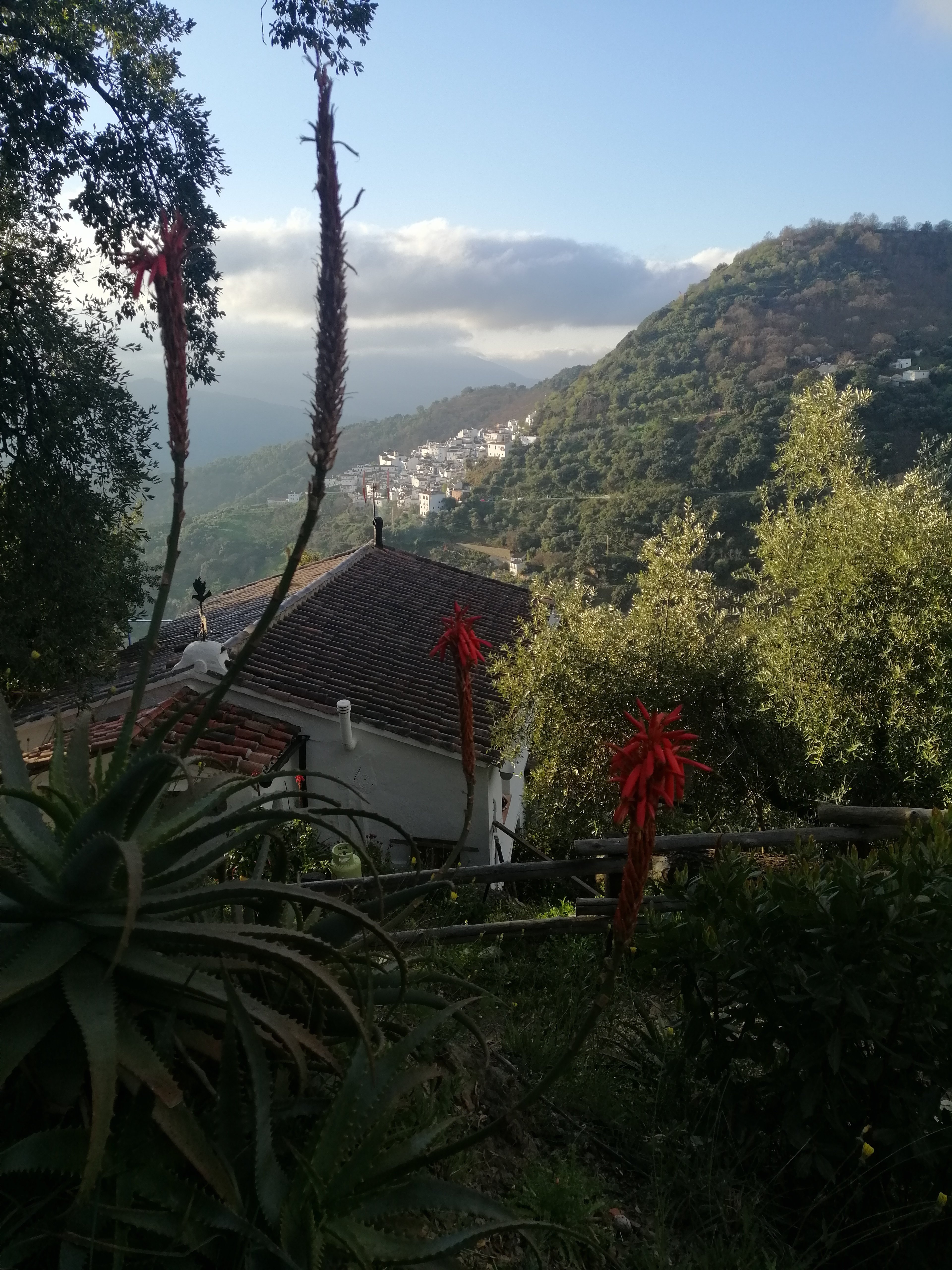 Finca El Chaparral-官方
