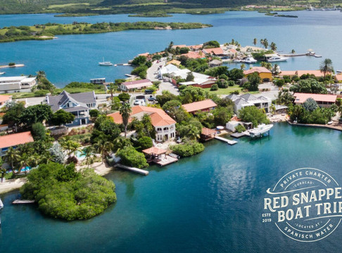 Red Snapper Boat Trips-威廉斯塔德必去景点