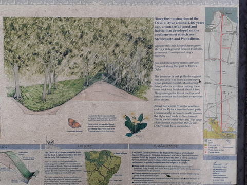 Reach旅游攻略图片