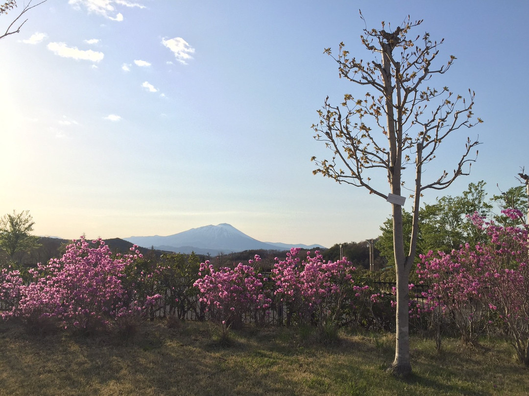 Oro Park (Morioka Keibajo)景点图片