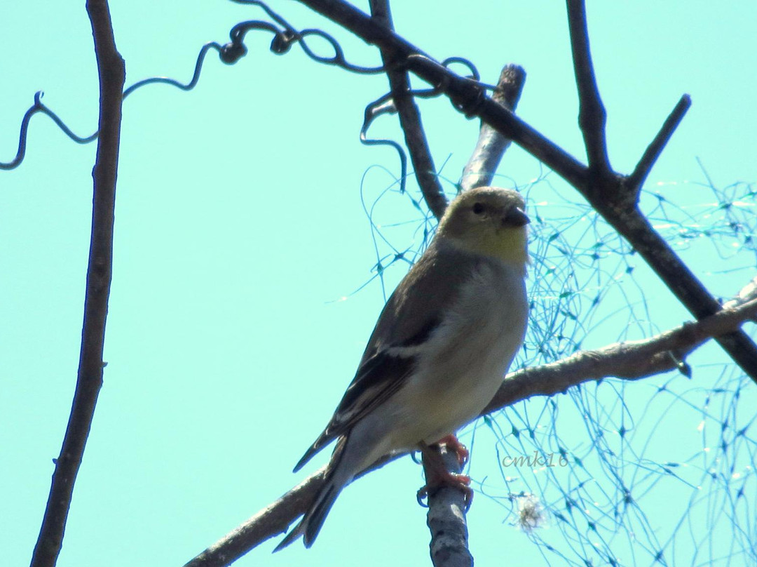 Red River National Wildlife Refuge景点图片