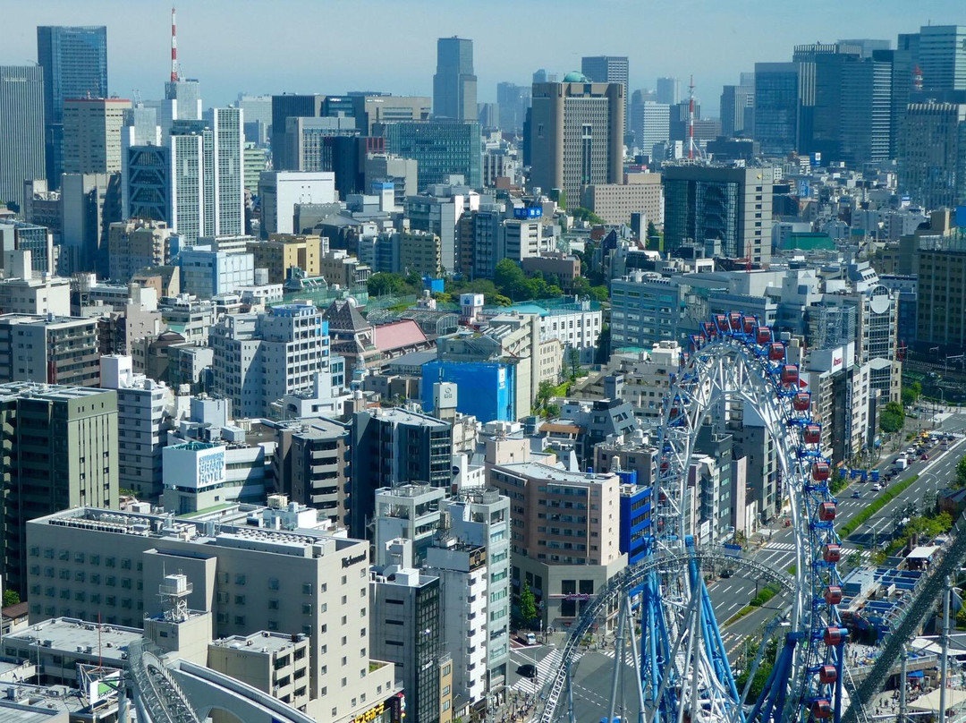 文京区市民中心景点图片