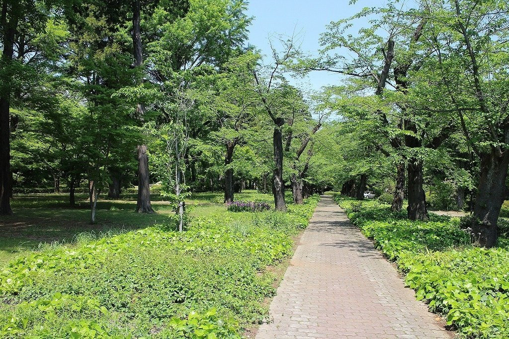 The Institute of Moralogy Kashiwa Campus