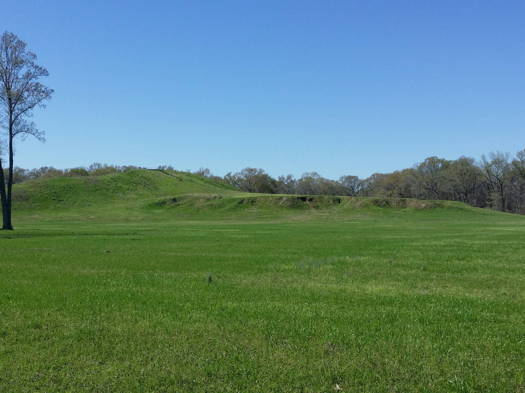 Poverty Point World Heritage Site景点图片