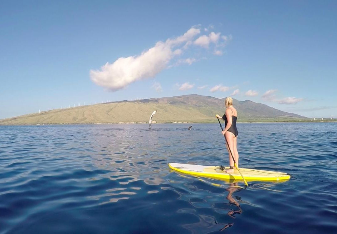 Maui Stand Up Paddle Boarding景点图片
