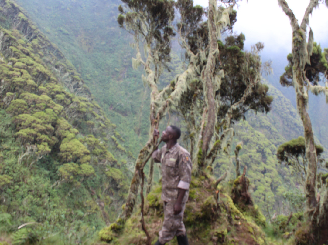 Discover Virunga