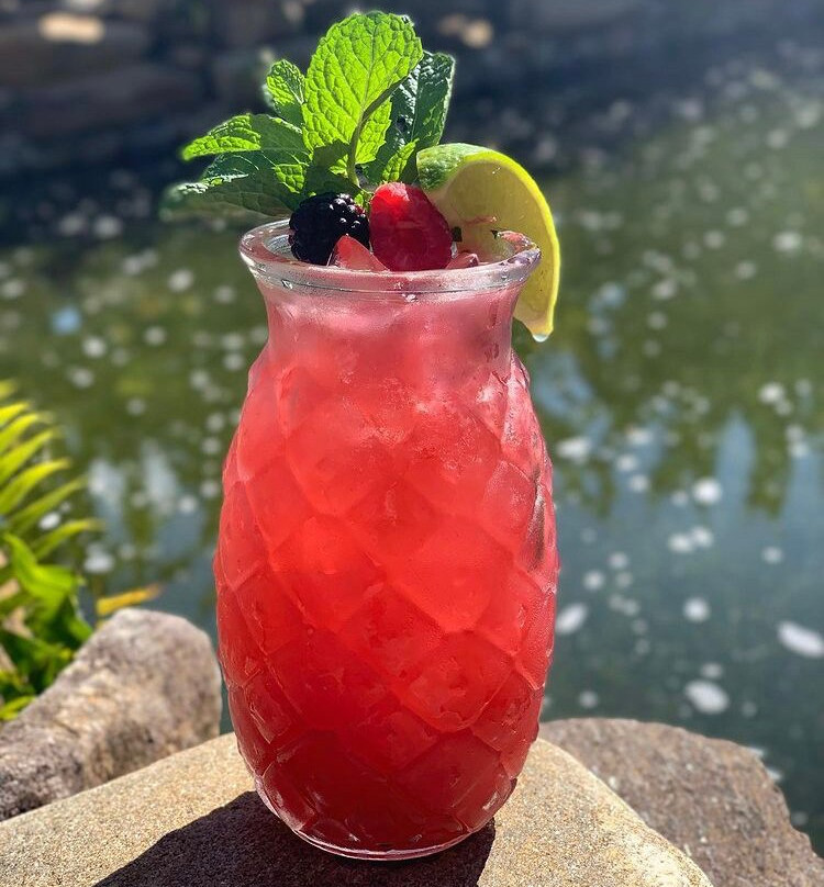 Kava Culture Kava Bar