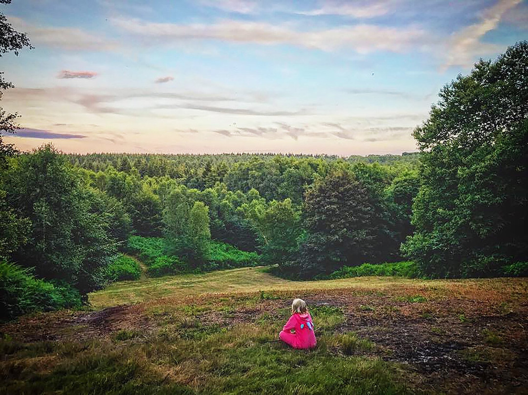 Beech Estate Campsite