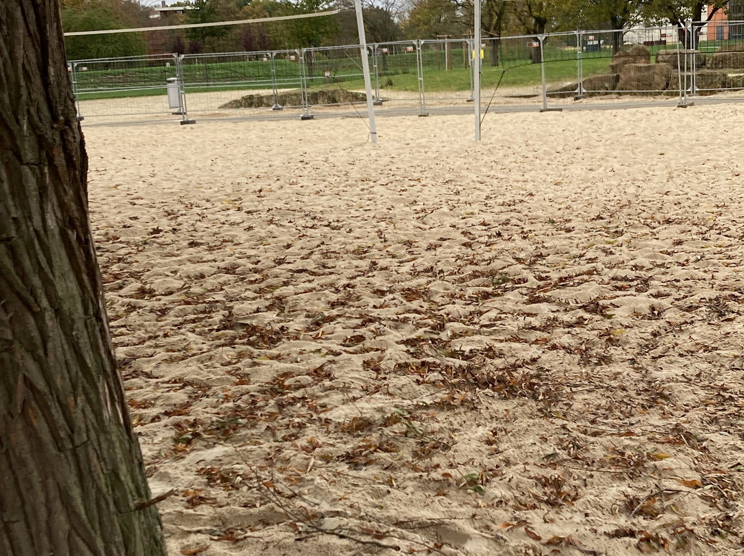 Volleyballfelder Am Allersee