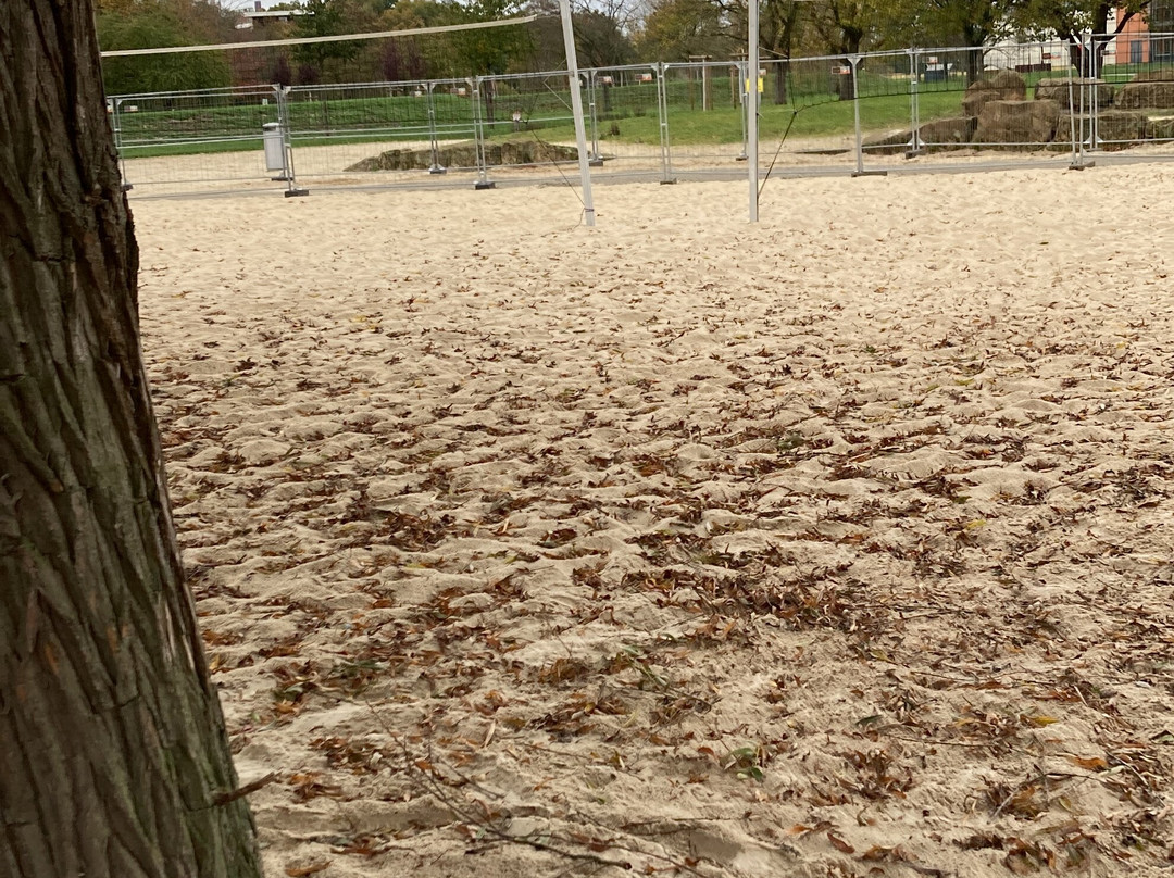 Volleyballfelder Am Allersee景点图片