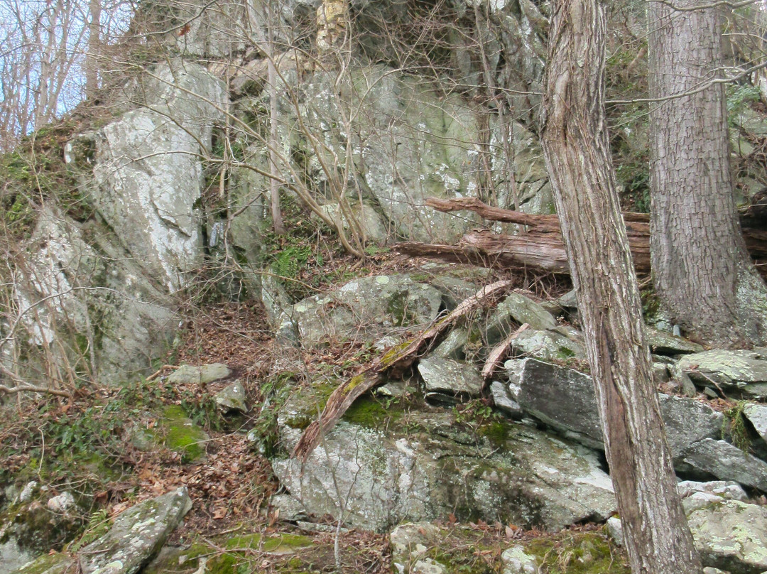 Turkey Run Park-麦克莱恩必去景点