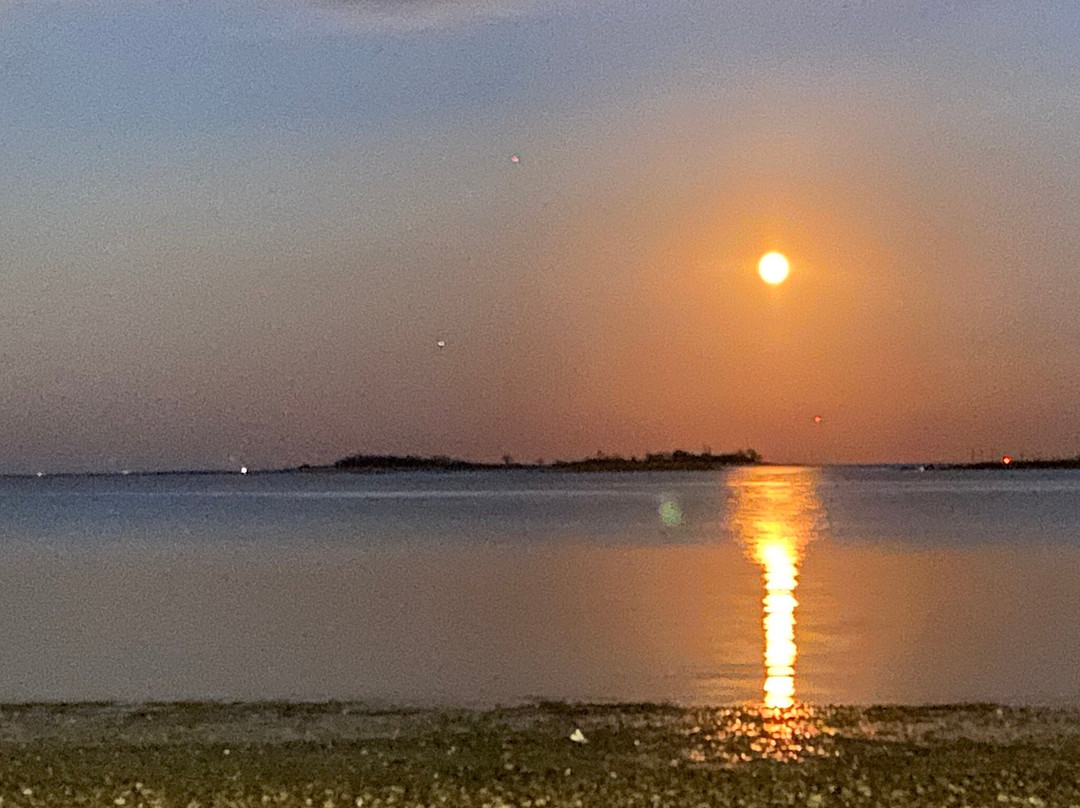Calf Pasture Beach-诺沃克必去景点