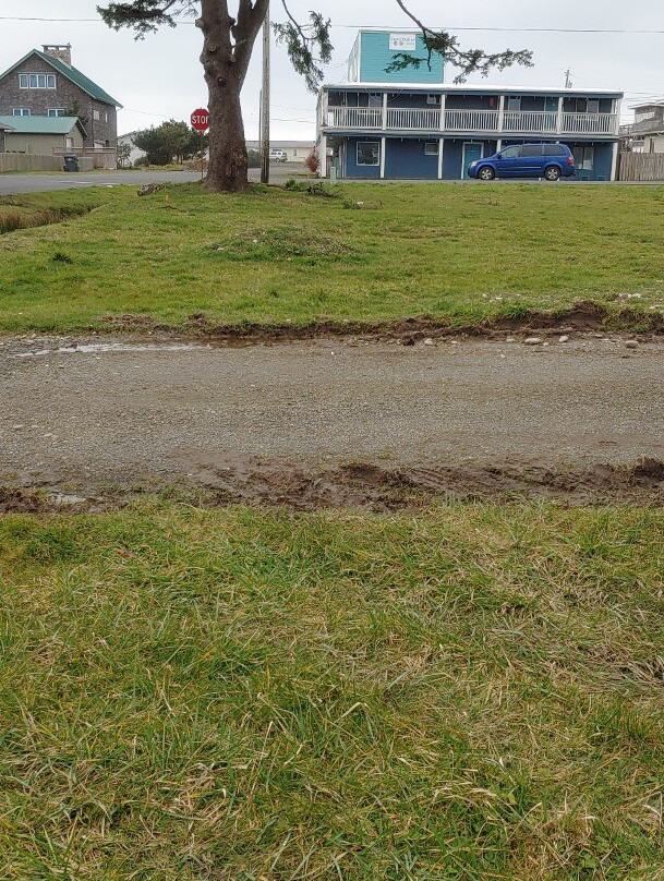 Sand Dollar Inn and Cottages主图