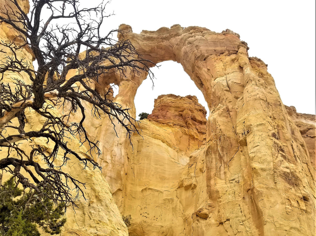 Cottonwood Canyon Road-卡纳布必去景点