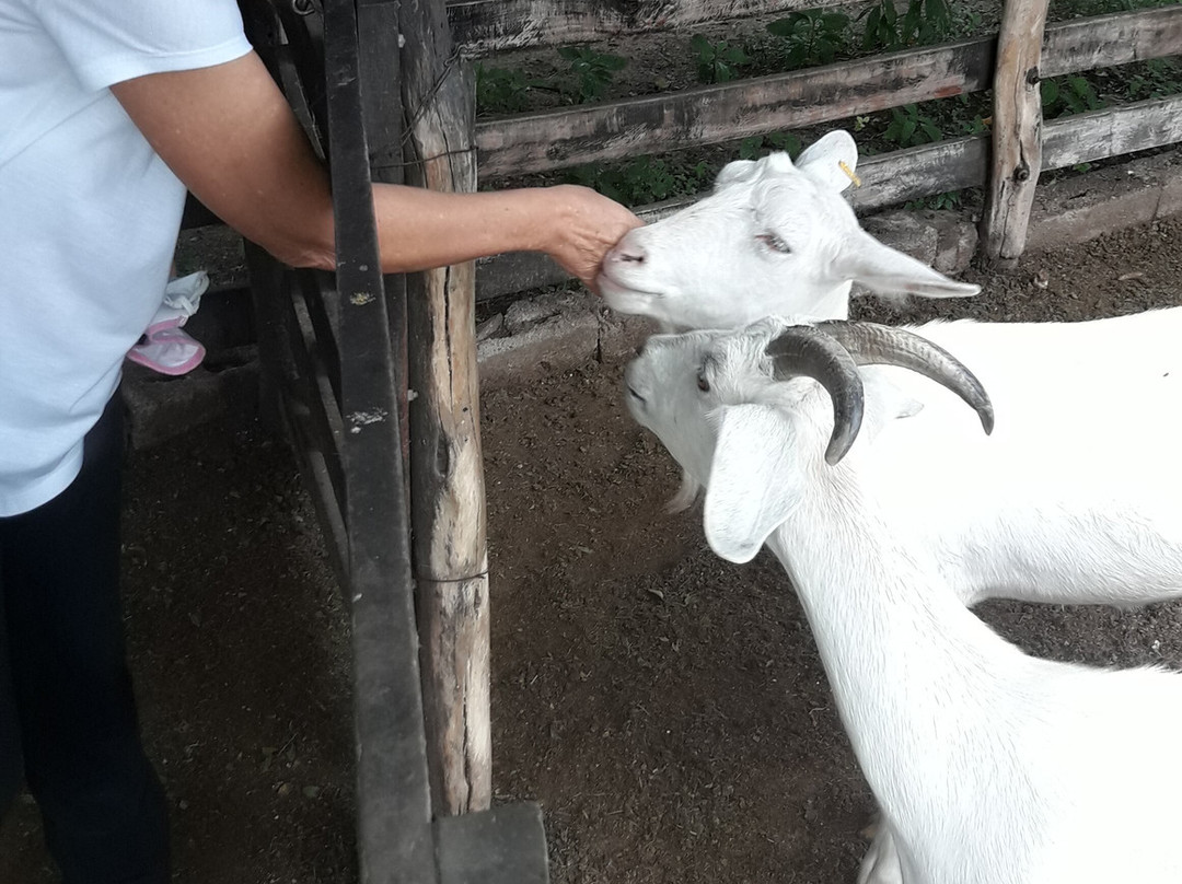 Quines旅游景点-La Colorada Quesos de Cabra