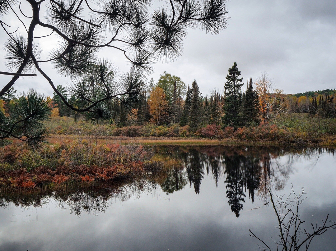 Van Riper State Park-Champion必去景点