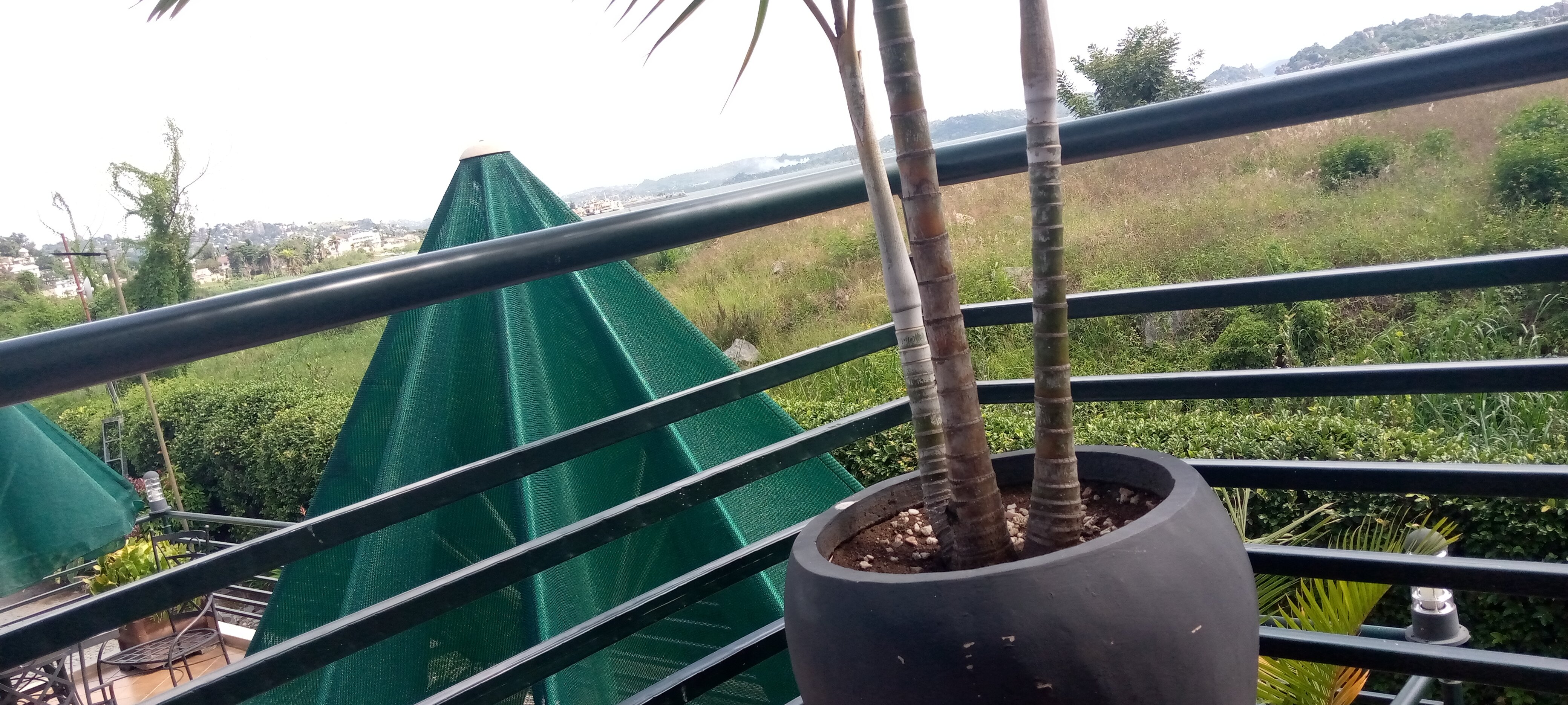 Ryan's Bay Hotel-官方