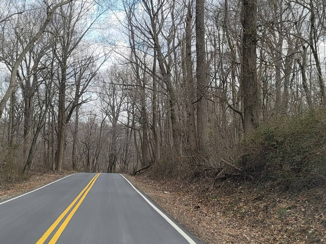 Old Bohemia Wildlife Management Area-Warwick必去景点