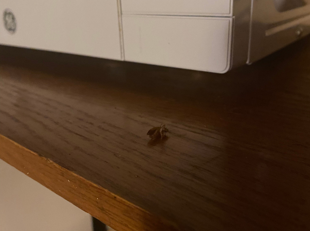 Extended Stay America Select Suites - Fayetteville -  Cliffdale主图