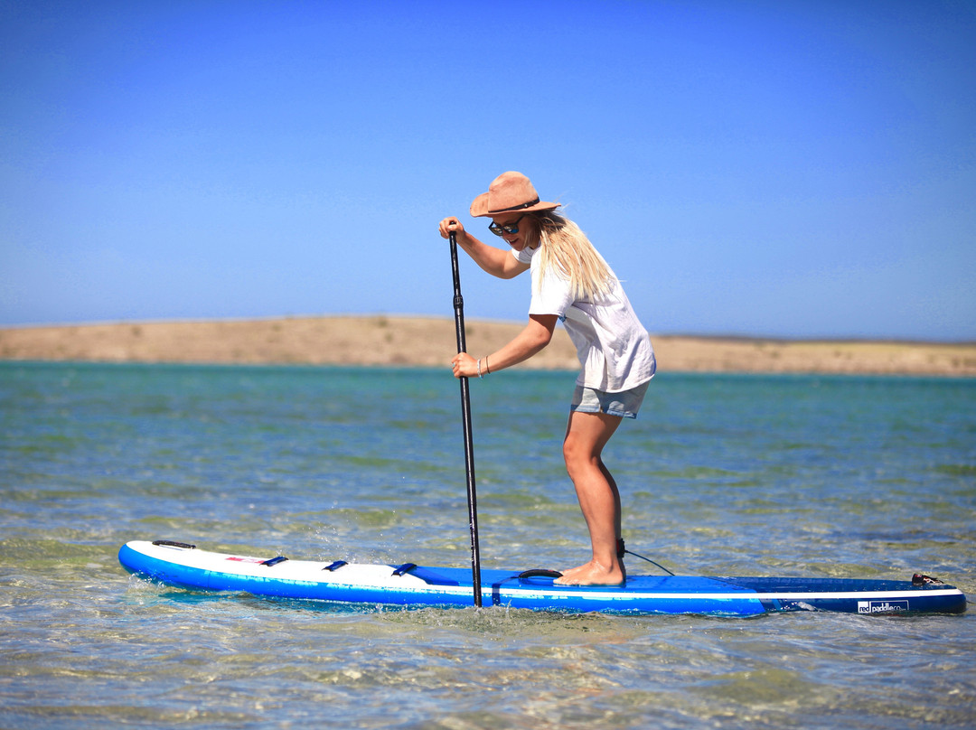 Streaky Bay Surf School-Streaky Bay必去景点