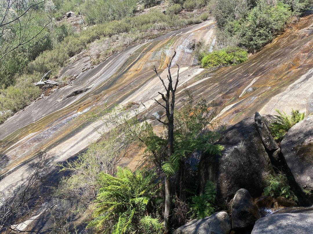 Ladies Bath Falls-水牛山国家公园必去景点