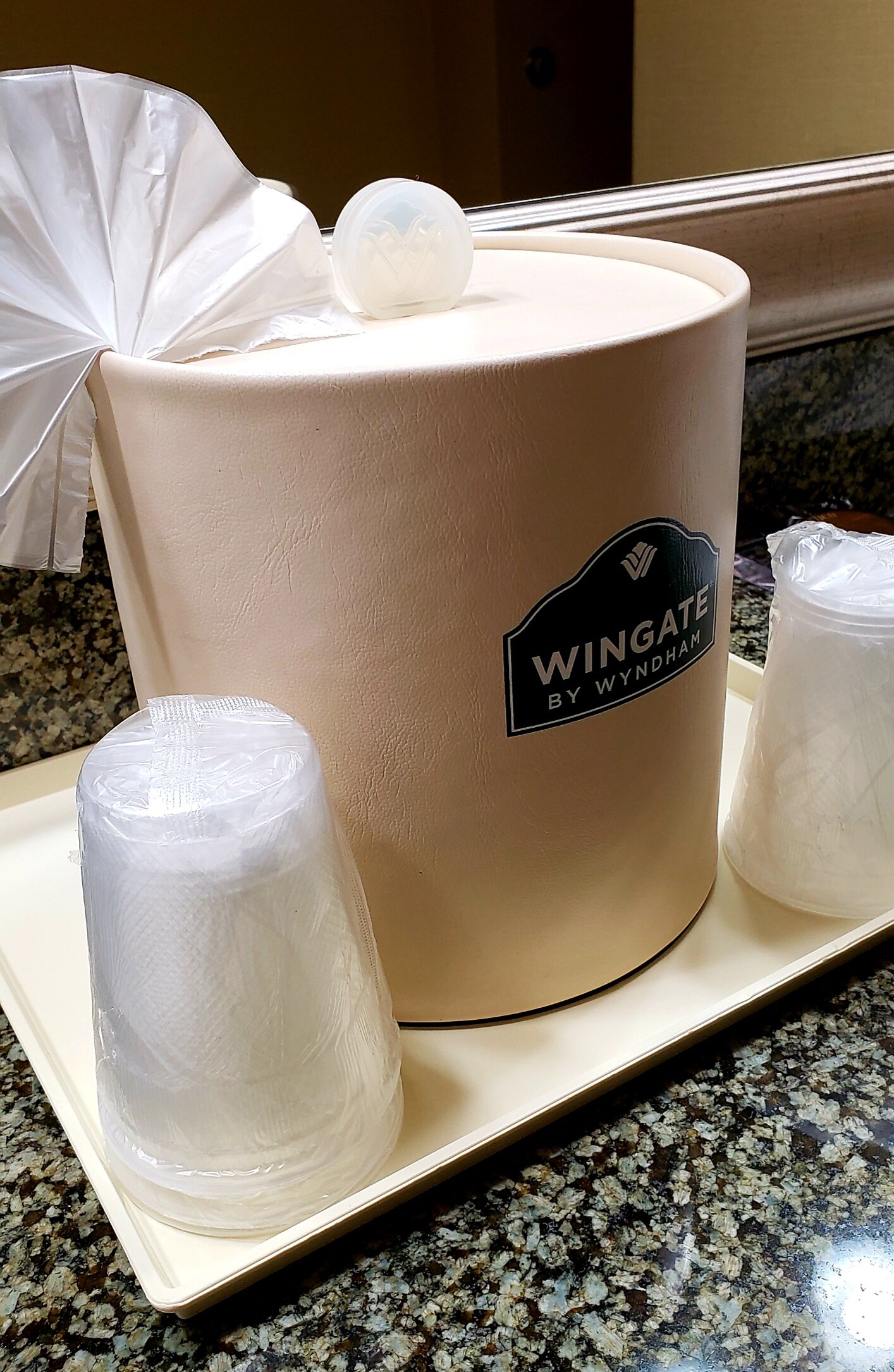 丹佛科技中心温盖特温德姆酒店-portrait