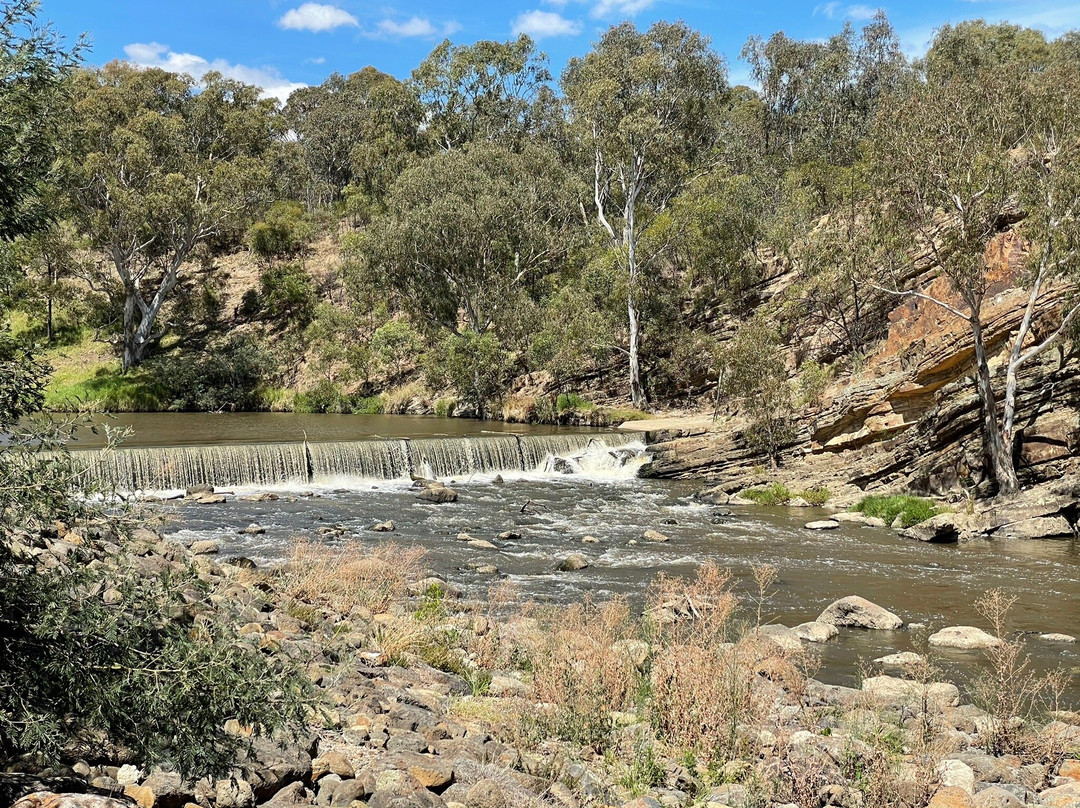 Dight's Falls Reserve景点图片