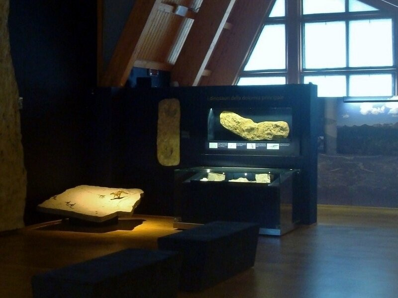 Museo Vittorino Cazzetta景点图片