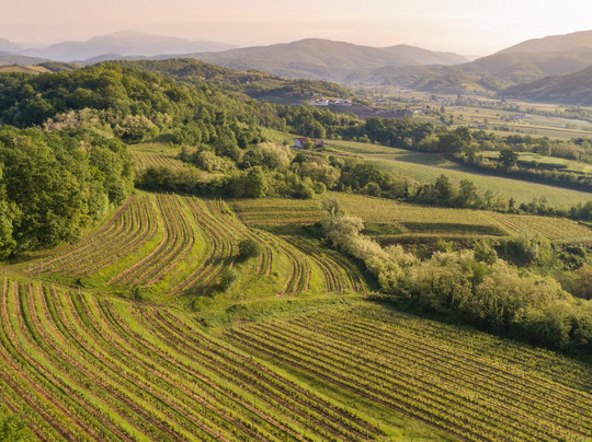 Spolert Winery-Prepotto必去景点