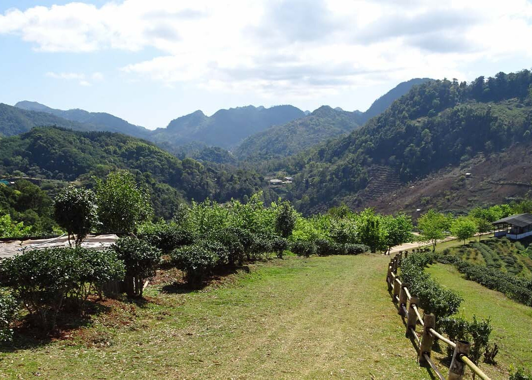 安康山-芳县必去景点