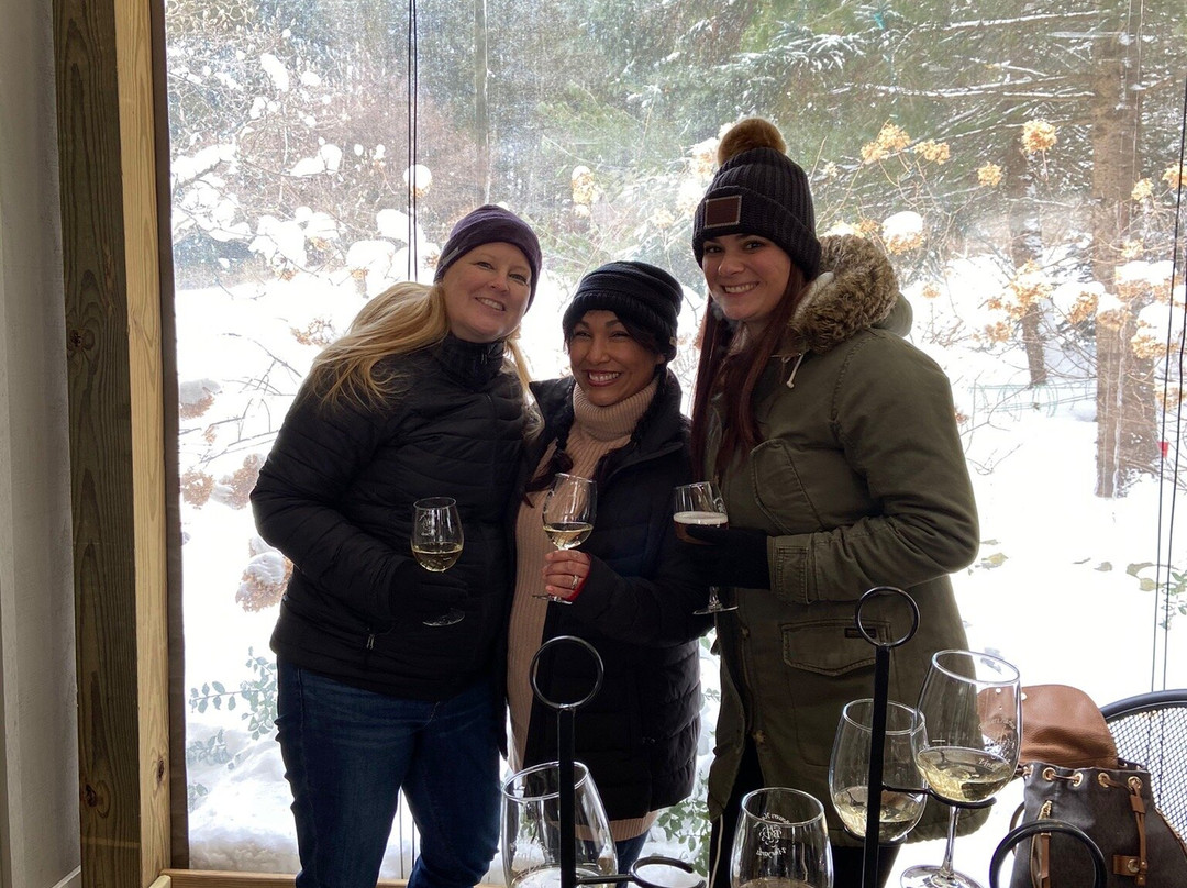 A3 Limo / Wine And Beer Tours-特拉弗斯城必去景点