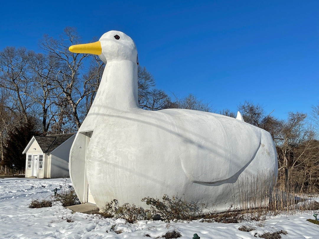 The Big Duck-Flanders必去景点