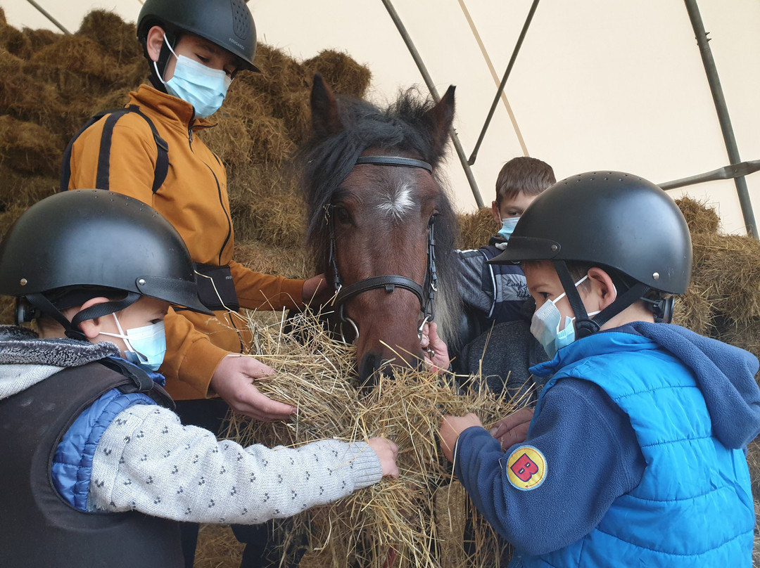 Hobby Land Ranch景点图片