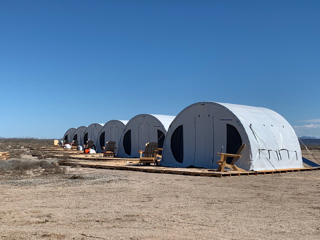 Nautilus Dive Adventures-San Ignacio必去景点