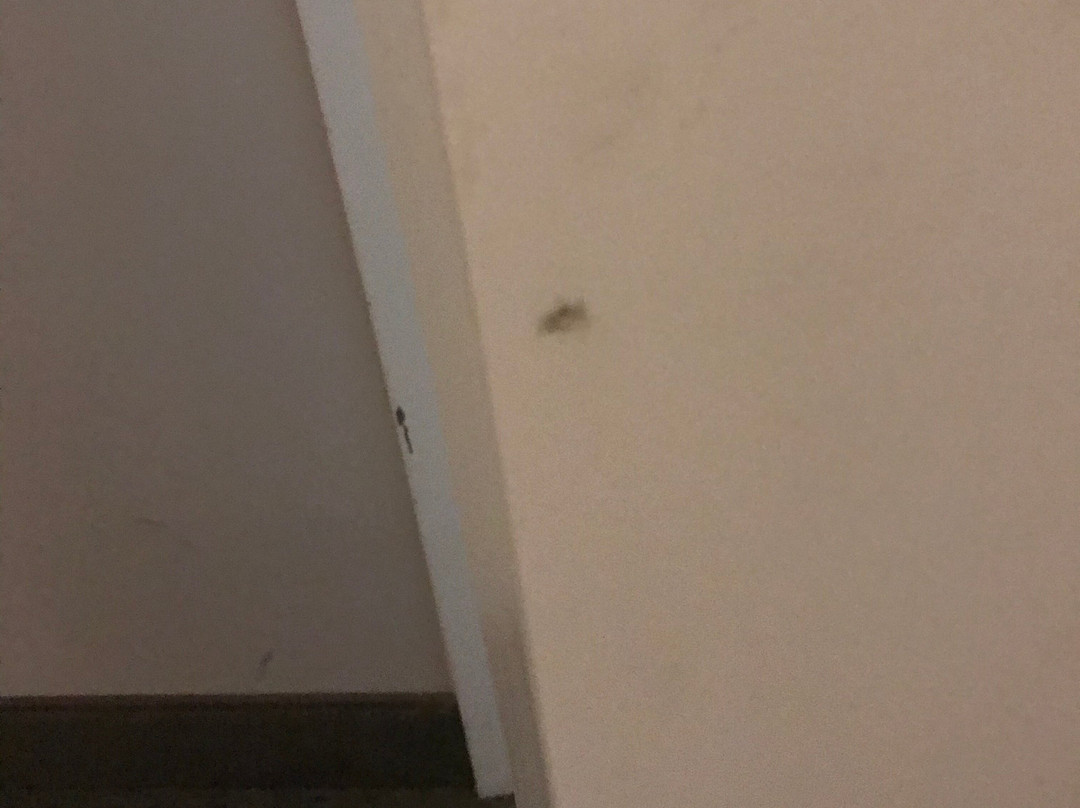 Residence Inn Phoenix Mesa East主图