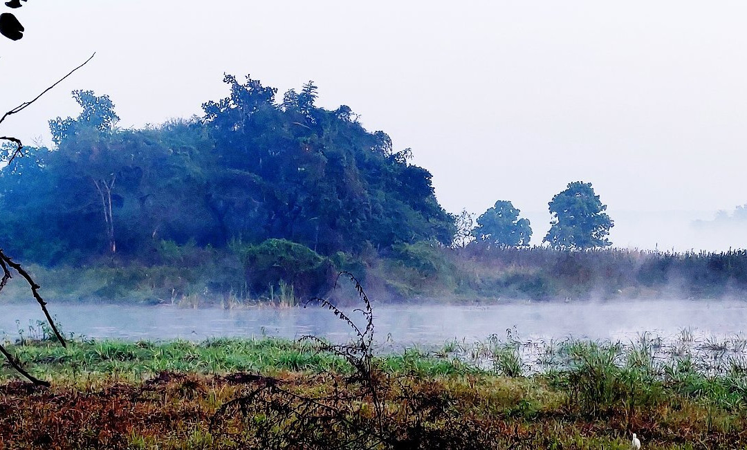 Gorewada Lake景点图片