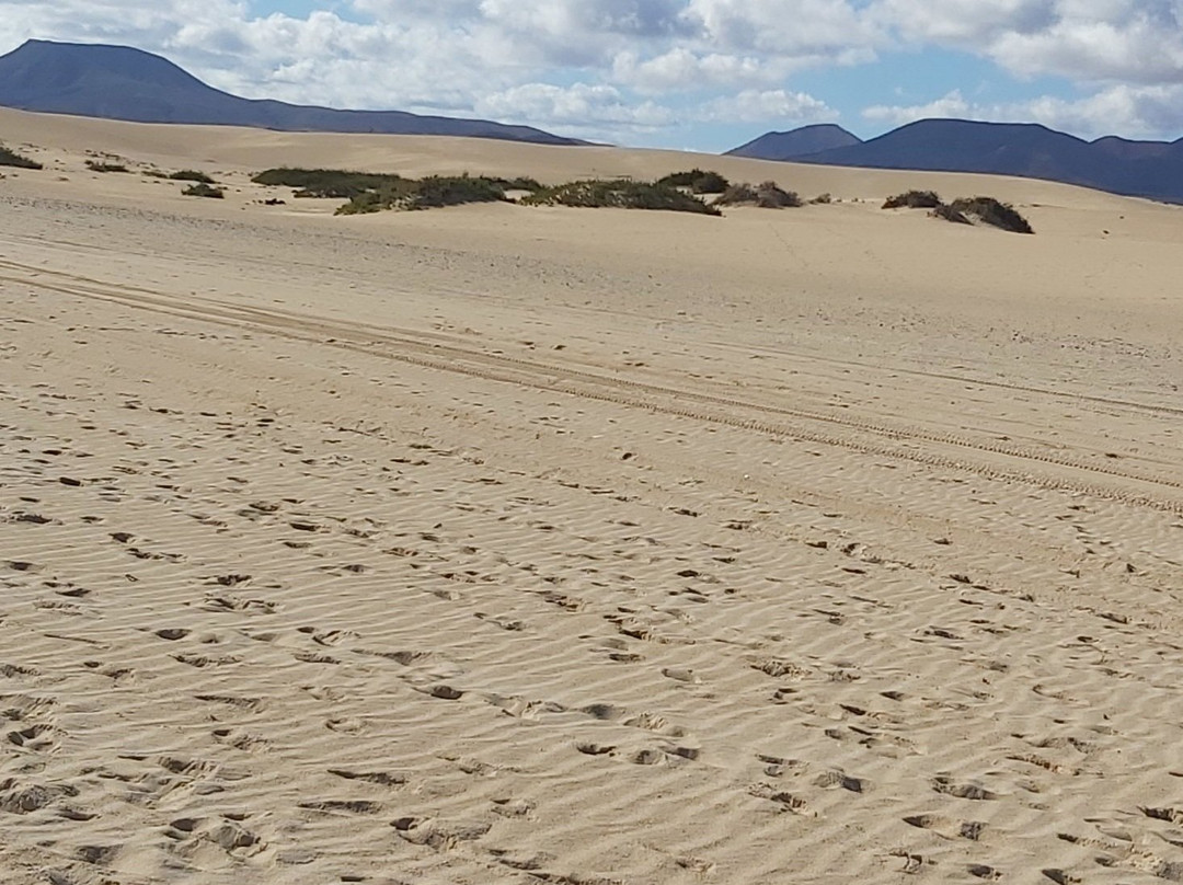 Dunas De Corrallejo景点图片