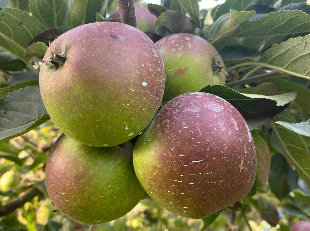 格伦科鲁尔勒尔里特酒店主图