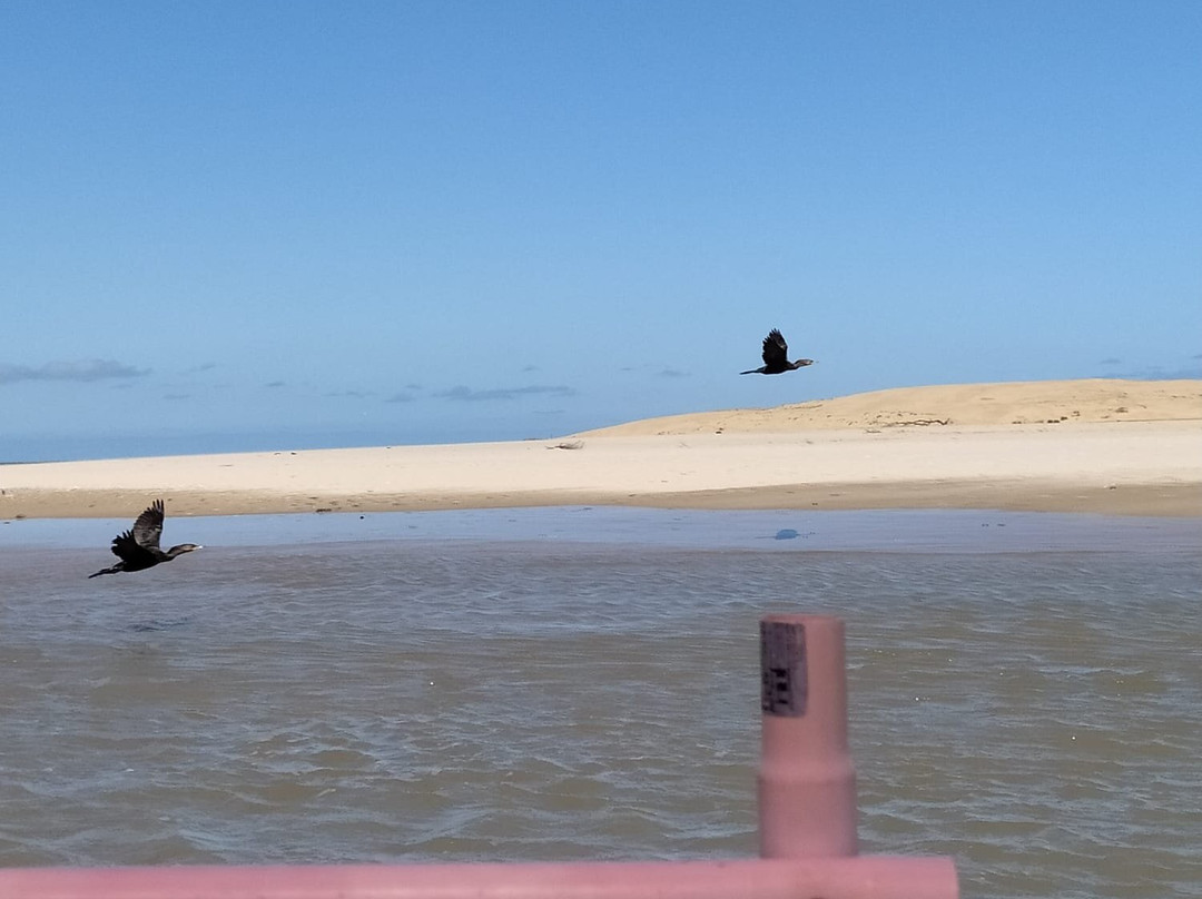 Senderos Tours-La Paloma必去景点