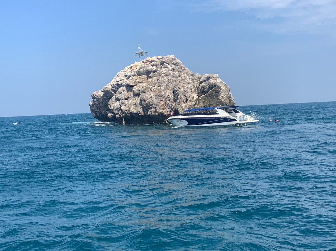 Sail Rock (Dive Site)-涛岛必去景点