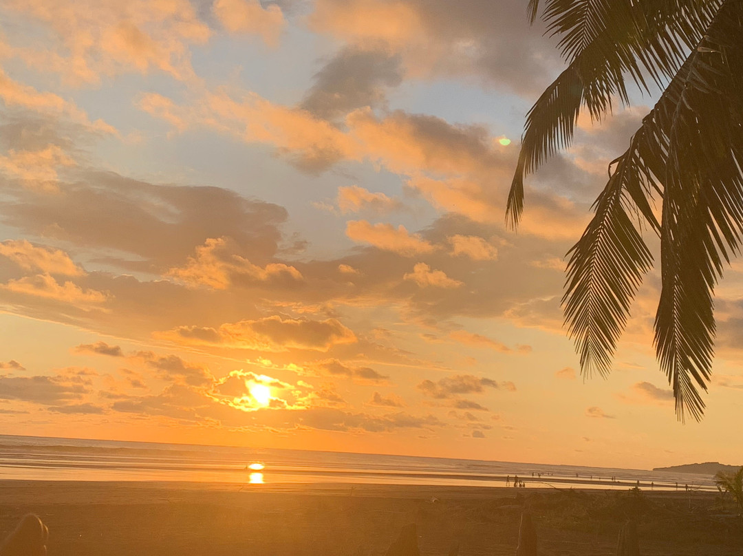 Encantada Ocean Cottages主图