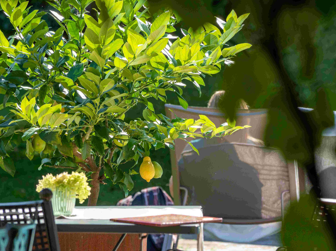 Termeno酒店住宿-B&B Gartenheim Tramin