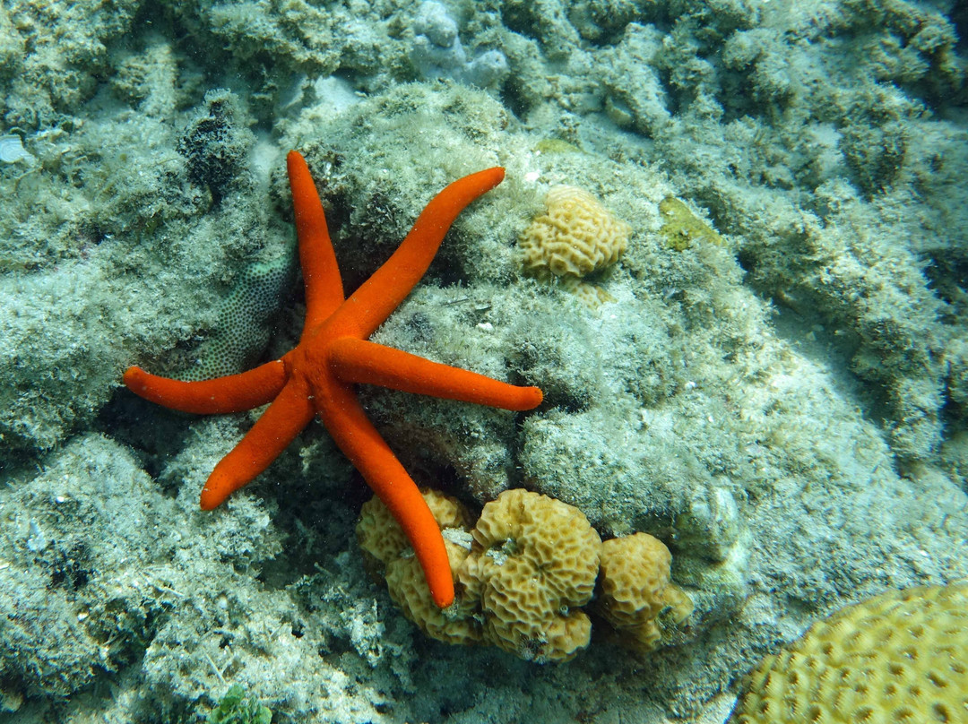 兰卡杨岛潜水度假酒店主图