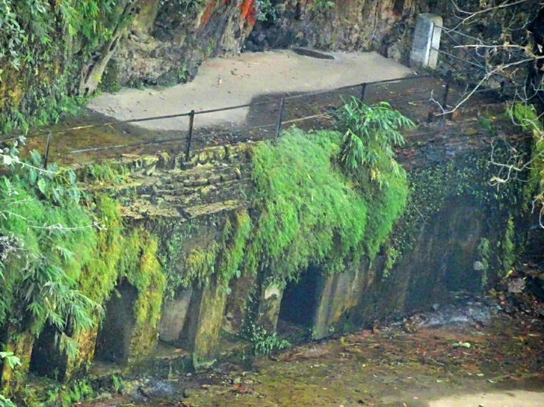 Pandav Falls and Caves景点图片