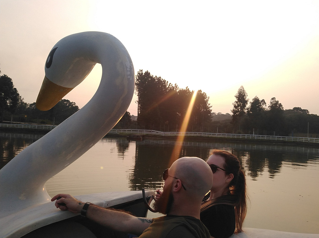 Araucárias Park-Arvorezinha必去景点