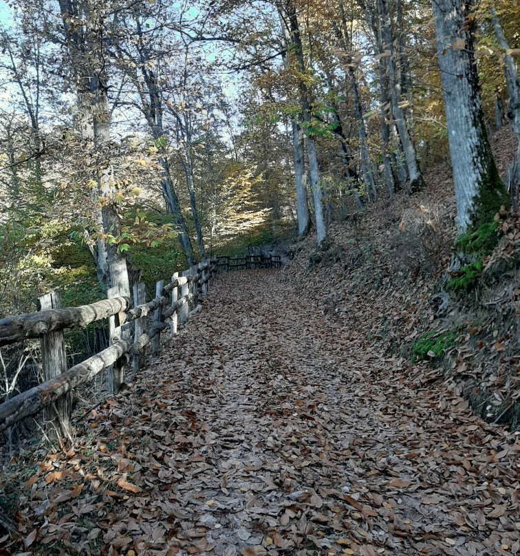 Oasi di Orie Terme景点图片