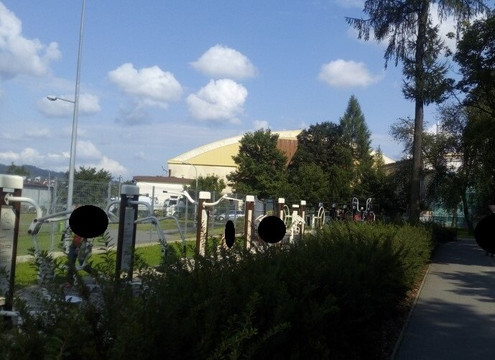 The City Park. Adam Mickiewicz